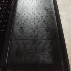 稚苗用育苗箱(25個) 黒
プラグトレイおまけ付き の画像