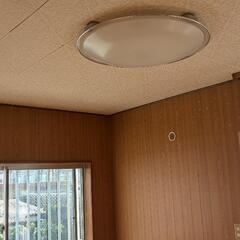 照明器具急ぎ
