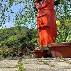 一緒に出かけられる方😃