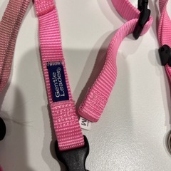 2本セットPREMIER ジェントルリーダー ヘッドカラー M ピンクの画像