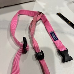 2本セットPREMIER ジェントルリーダー ヘッドカラー M ピンクの画像