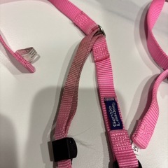 2本セットPREMIER ジェントルリーダー ヘッドカラー M ピンクの画像