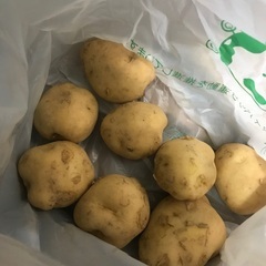 じゃがいも8個　1キロ　200円