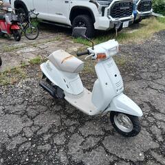 ヤマハ　ミント部品取り車