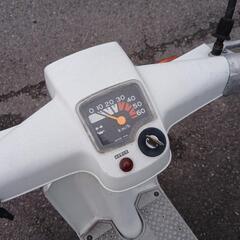 スズキ　薔薇？　cy50の画像