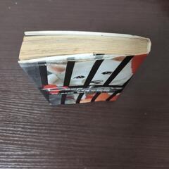 Deep Love -パオの物語-　※中古　※商品説明必読の画像