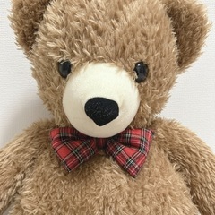 くまさんのぬいぐるみの画像