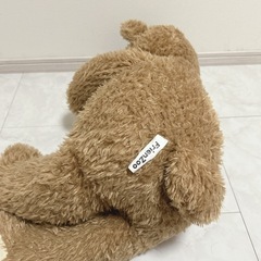 くまさんのぬいぐるみの画像