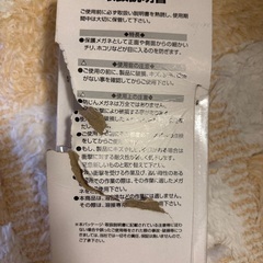 植木の剪定用メガネの画像