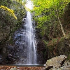 6/28(土)川苔山へ登山！同行者募集！！
