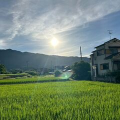 🎵戸建1棟3DK＋1部屋洋室倉庫付　初期費用無料　大家直契…