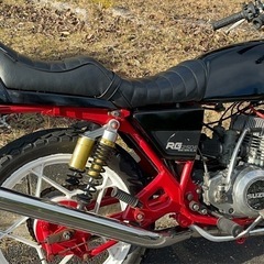 rg250eの画像