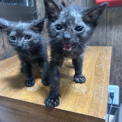 春日市生後3ヶ月