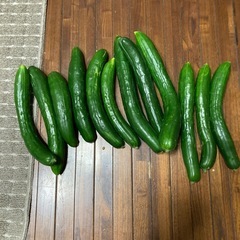 きゅうり　　3本