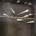 ランキングキーワードに紐づく投稿画像-メダカ