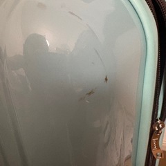 拡張　キャリーケースの画像