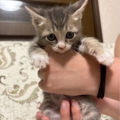 少しビビりなおっとり女の子