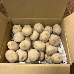 　男爵いも2Kg