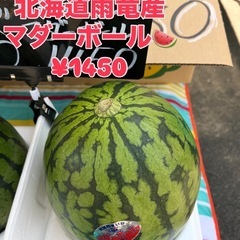 北海道産🍉マダーボールスイカ