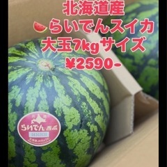 北海道産🍉らいでんスイカ3L