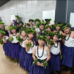 こどもフラダンス スクール 生徒大募集の画像