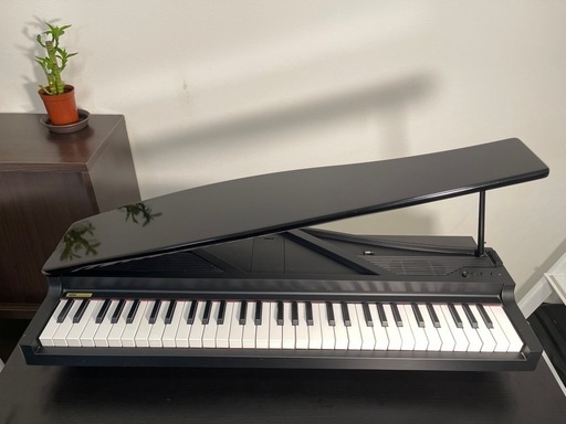 Amazon | KORG MICROPIANO マイクロピアノ ミニ鍵盤61鍵 レッド