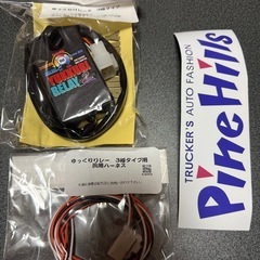 パインヒルズ 3PIN ウインカーリレーの画像