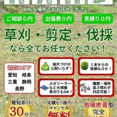 🌳草刈り🌳伐採🌳抜根🌳剪定の事ご相談下さい！