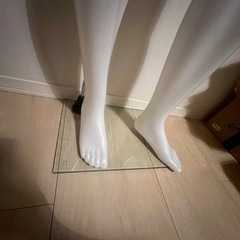 トルソー　全身トルソーマネキン　の画像