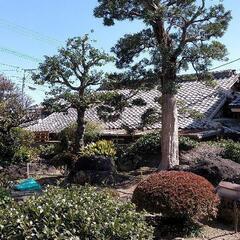 庭の剪定、伐採、草刈り、お任せください
