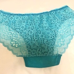 【未使用】おしりの透けるショーツの画像