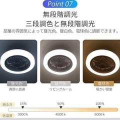 【新品】シーリングファンライトの画像