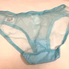 【未使用】透け素材ショーツの画像