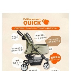 ペットバギー　9キロ位まで　7月末までの画像