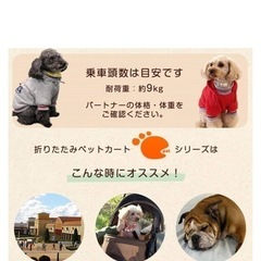 ペットバギー　9キロ位まで　7月末までの画像