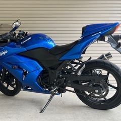 Kawasaki ニンジャ250R 実動 sports customの画像