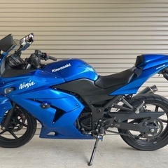 Kawasaki ニンジャ250R 実動 sports customの画像