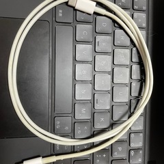 lightningケーブル ジャンク品 ②
