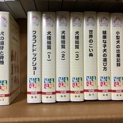 日本ペット美容学校協会　中古　3巻無しの画像