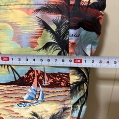 LeSportsac 夕焼けビーチ 海 トートバッグの画像