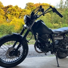 YAMAHA TW200 セル始動 2JL 自賠責R9年8月まで blackcustom vintageの画像