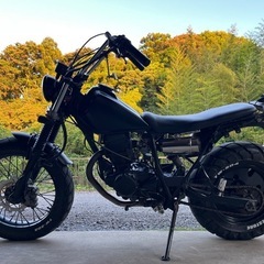 YAMAHA TW200 セル始動 2JL 自賠責R9年8月まで blackcustom vintageの画像