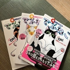 猫マンガ詰め合わせ　17冊の画像