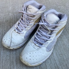 ミズノMIZUNO WAVE DIVERSE ジャンクの画像