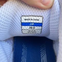 ミズノMIZUNO WAVE DIVERSE ジャンクの画像