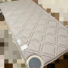 西川 ヘルシオン  の画像