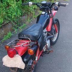 XL50S　AD03　(No.2417)の画像