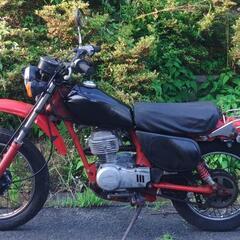 XL50S　AD03　(No.2417)の画像