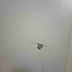 ニトリ家具の画像