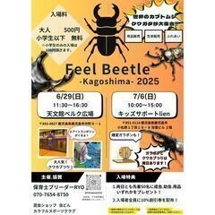 🐸天文館ベルク広場イベント🌟6/29🌟パソコン販売🌟フリー…